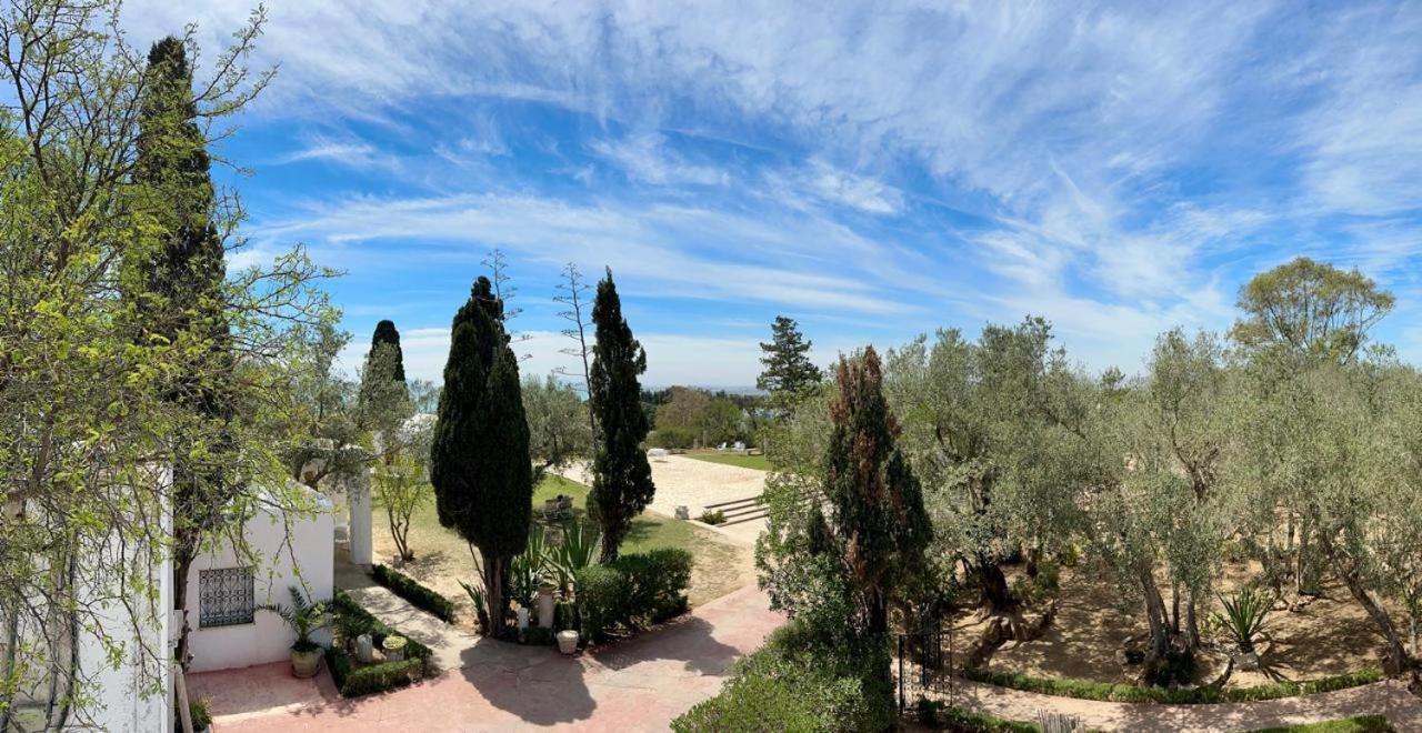 Si Brahim Studio Piscine, Sidi Bou Ali Kültér fotó